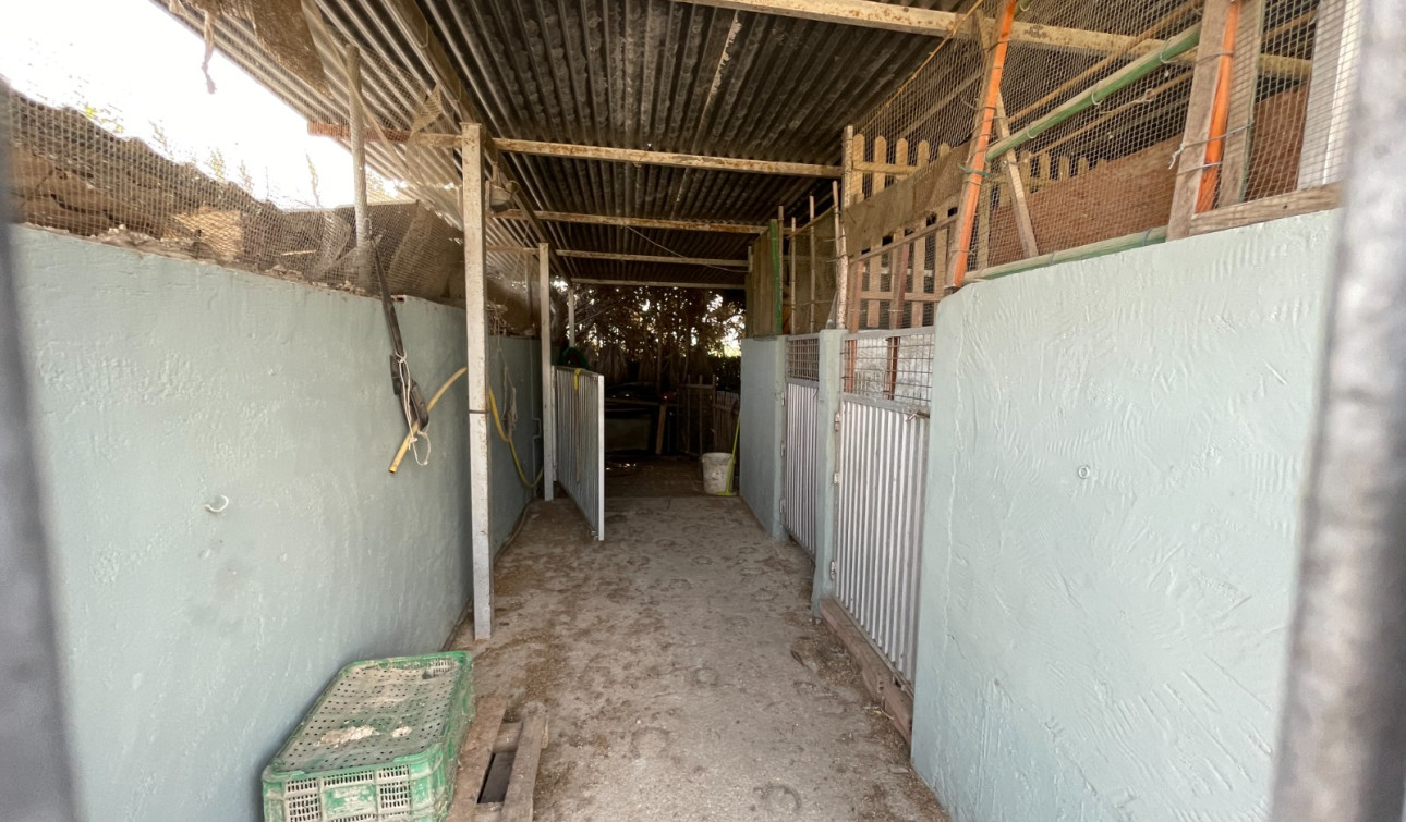 Revente - Villa Individuelle - San Fulgencio - La Marina