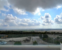 Revente - Villa Individuelle - San Miguel de Salinas - Costa Blanca