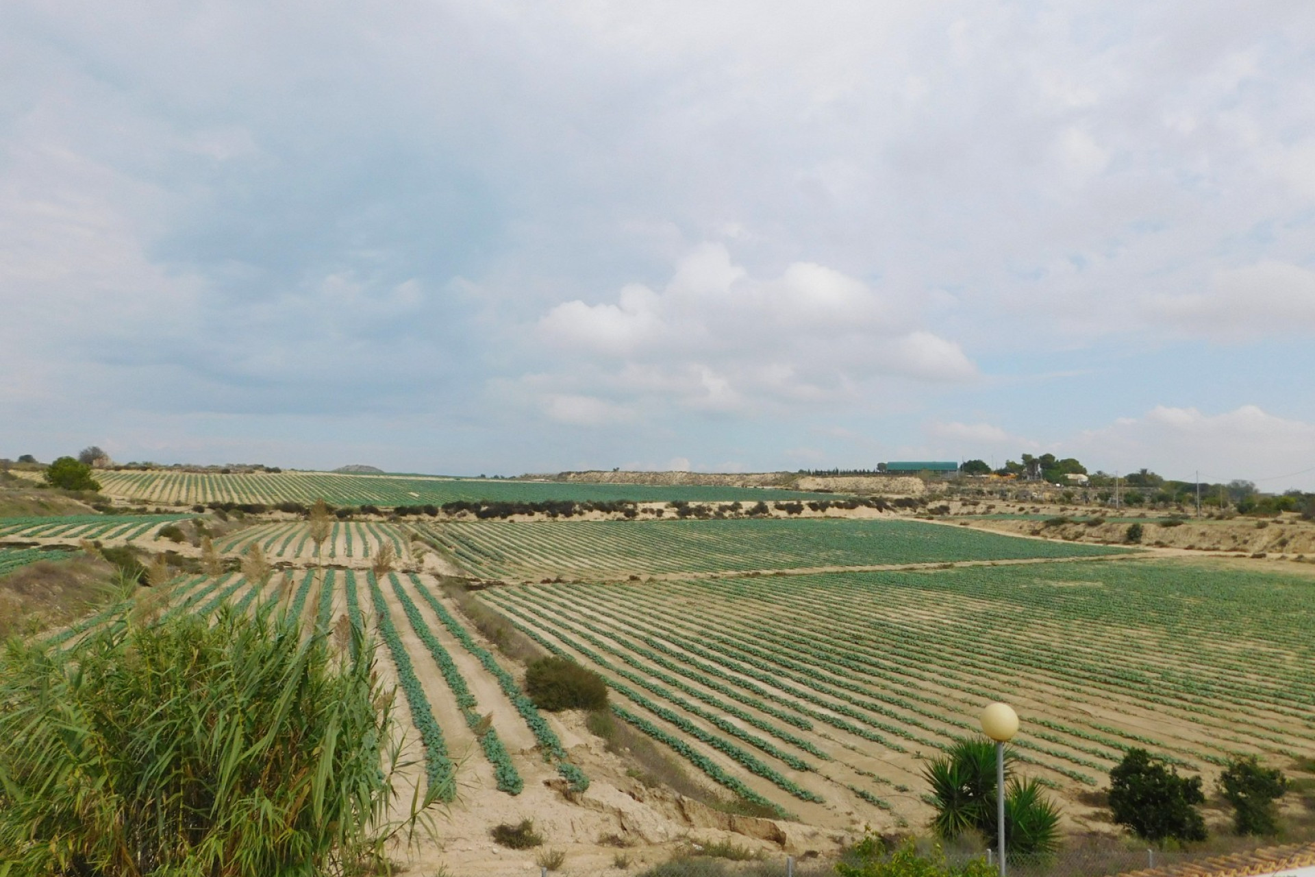 Revente - Villa Individuelle - San Miguel de Salinas - San Miguel Salinas