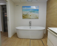 Revente - Villa Individuelle - San Miguel de Salinas