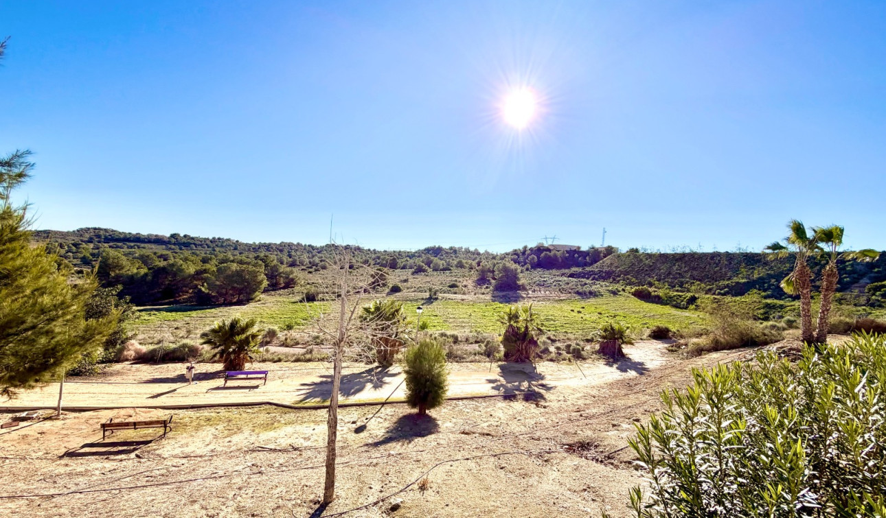 Revente - Villa Individuelle - San Miguel de Salinas