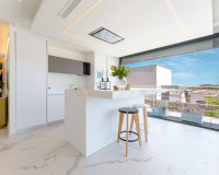 Revente - Villa Individuelle - San Miguel de Salinas