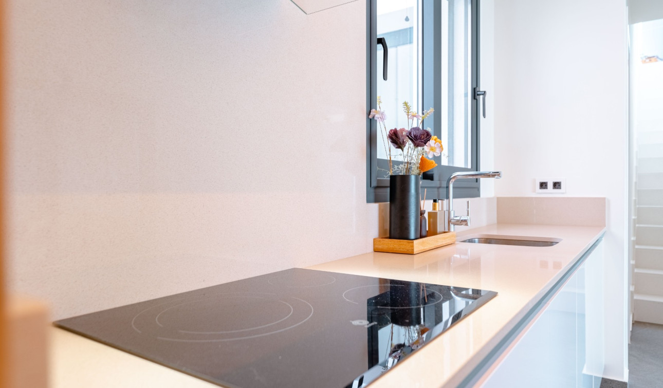 Revente - Villa Individuelle - San Miguel de Salinas