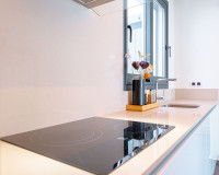 Revente - Villa Individuelle - San Miguel de Salinas