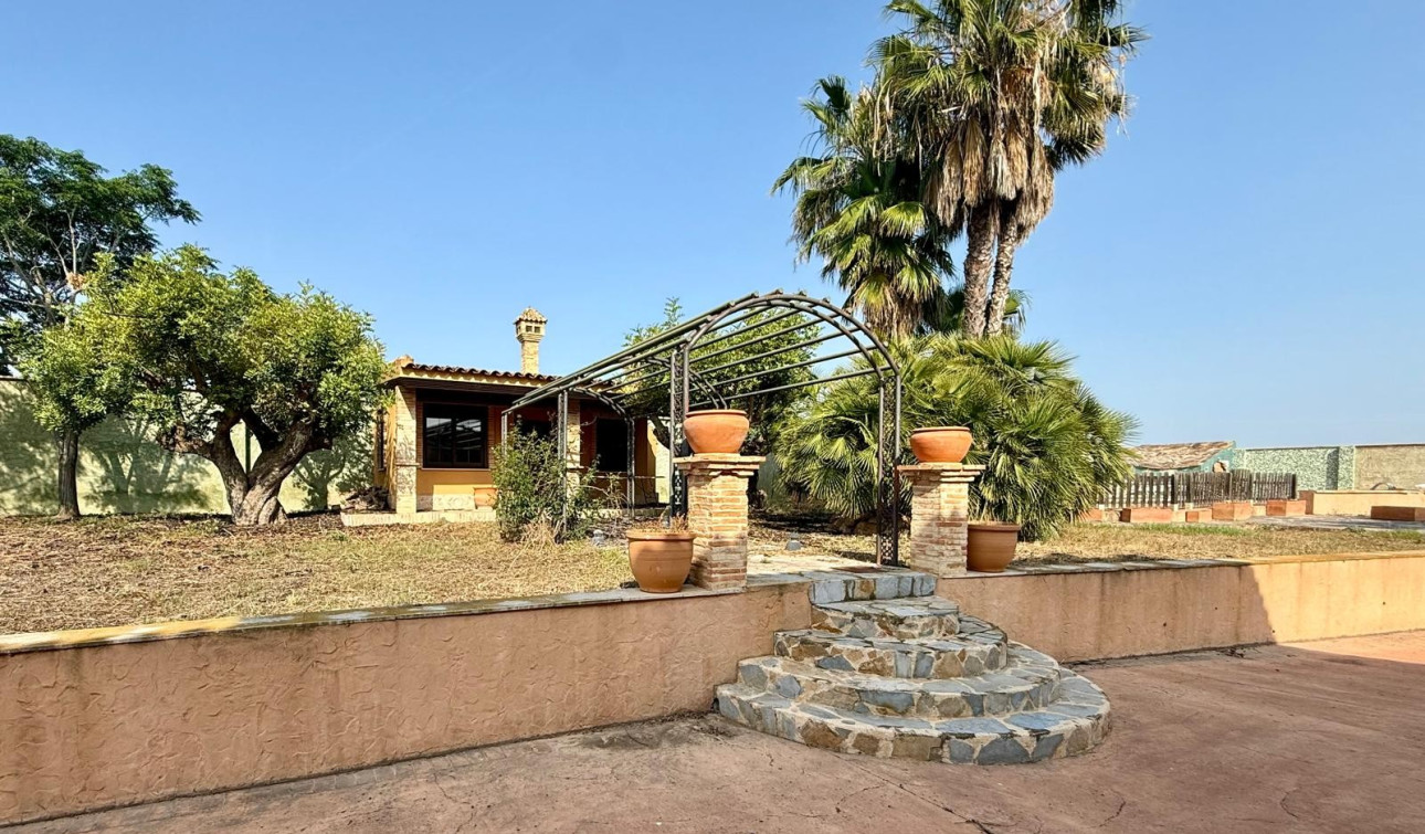 Revente - Villa Individuelle - San Miguel de Salinas