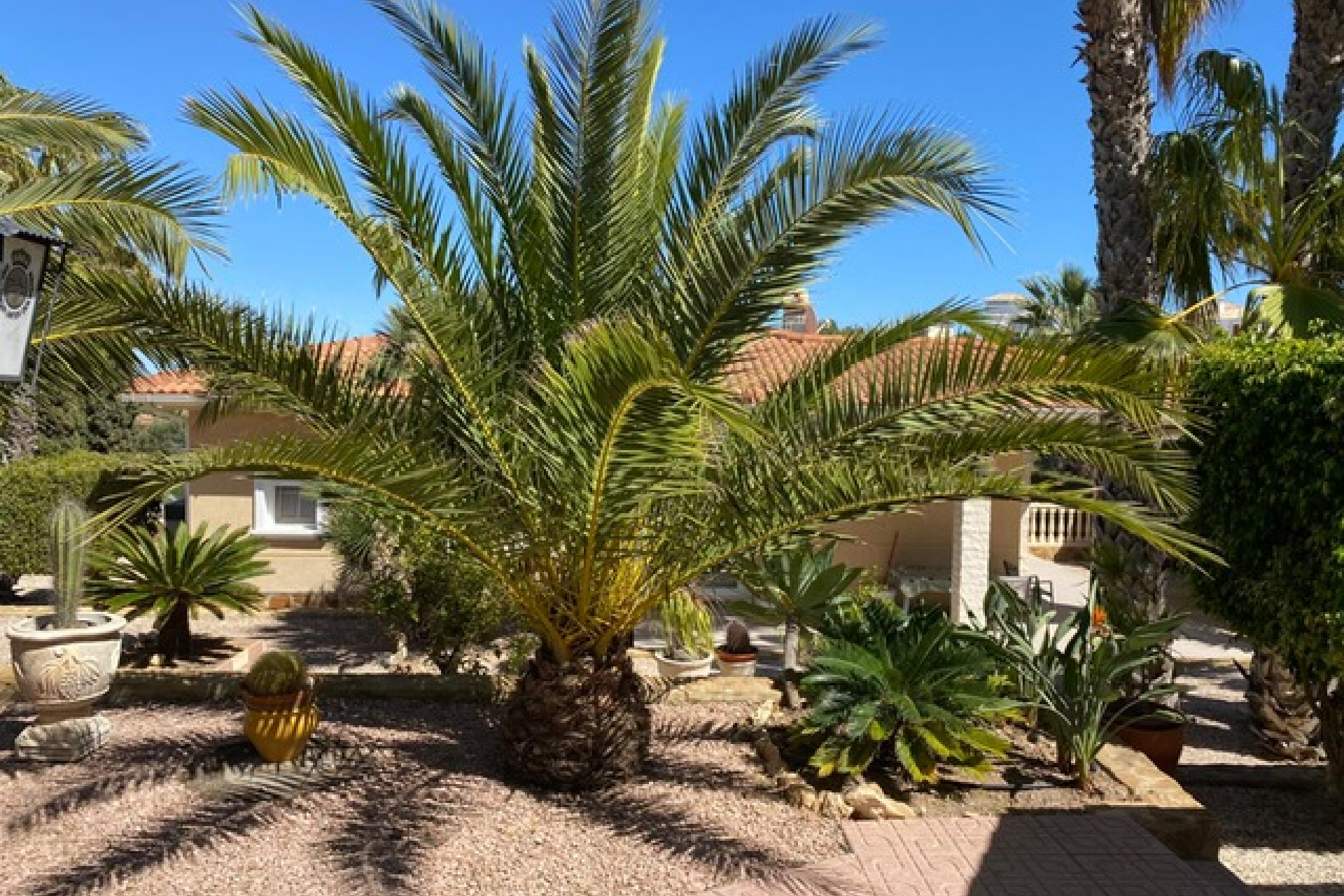 Revente - Villa Individuelle - Villamartín - El Galan