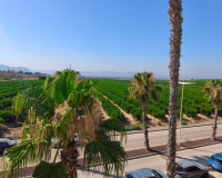 Revente - Villa Jumelée - Algorfa