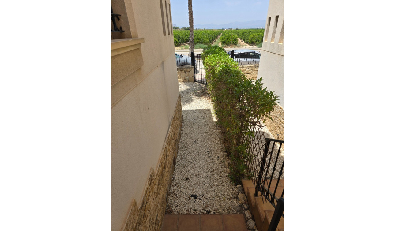 Revente - Villa Jumelée - Algorfa