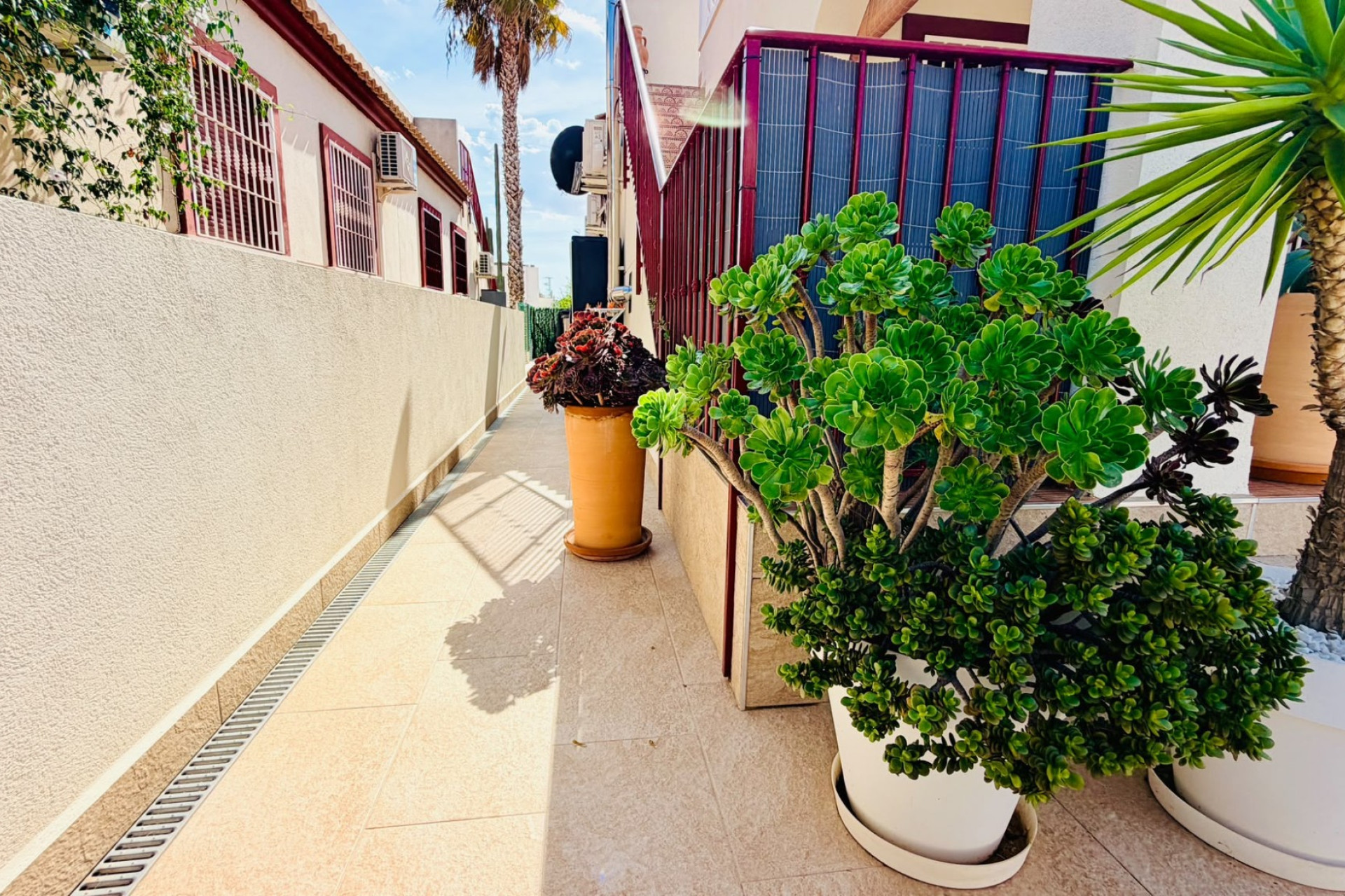 Revente - Villa Jumelée - Daya Vieja