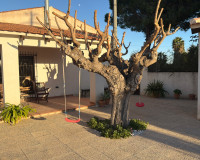 Revente - Villa Jumelée - Dolores