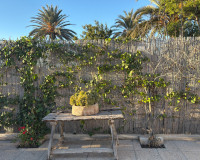 Revente - Villa Jumelée - Dolores