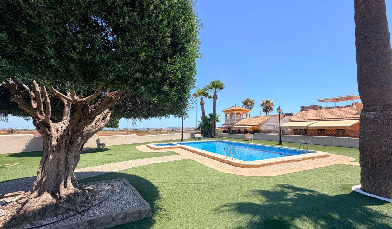 Revente - Villa Jumelée - Los Montesinos - Urbanizacion montesol