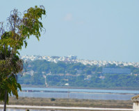 Revente - Villa Jumelée - Torrevieja - San Luis