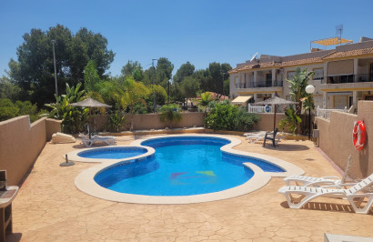Town House - Resale - Algorfa - Algorfa