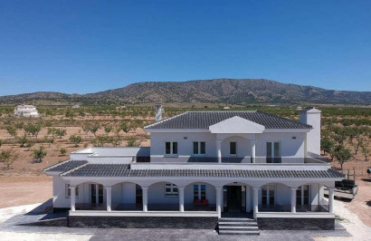 Villa independiente - Obra nueva - Pinoso - Camino Del Prado
