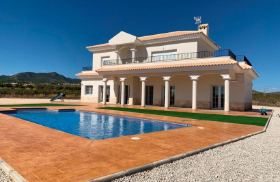 Villa Individuelle - Nouvelle construction - Pinoso - RG-45184