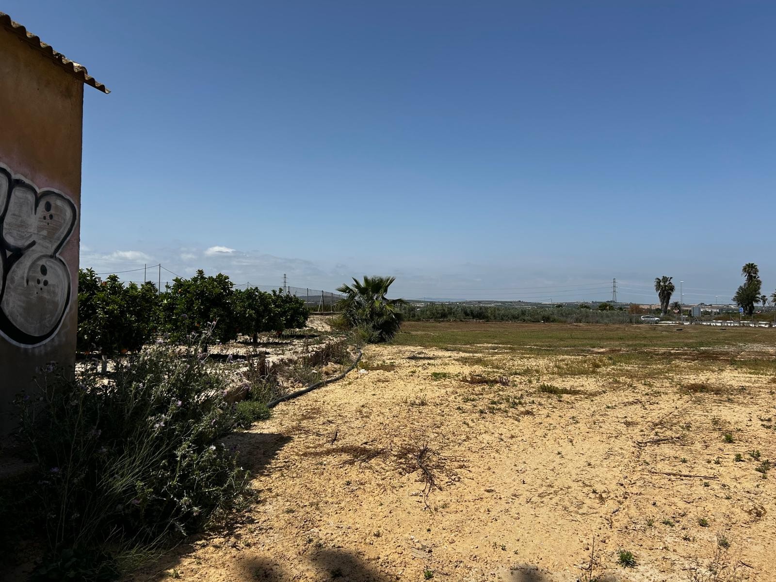 TPS0067: Plot Land for sale in San Miguel de Salinas