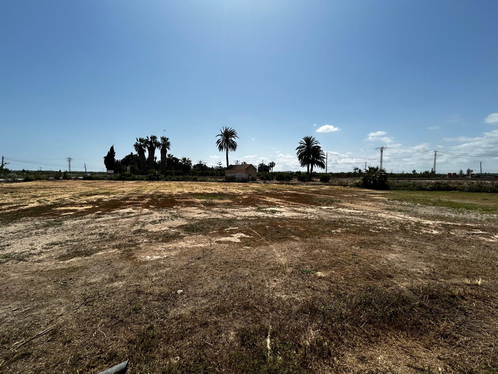 TPS0067: Plot Land for sale in San Miguel de Salinas