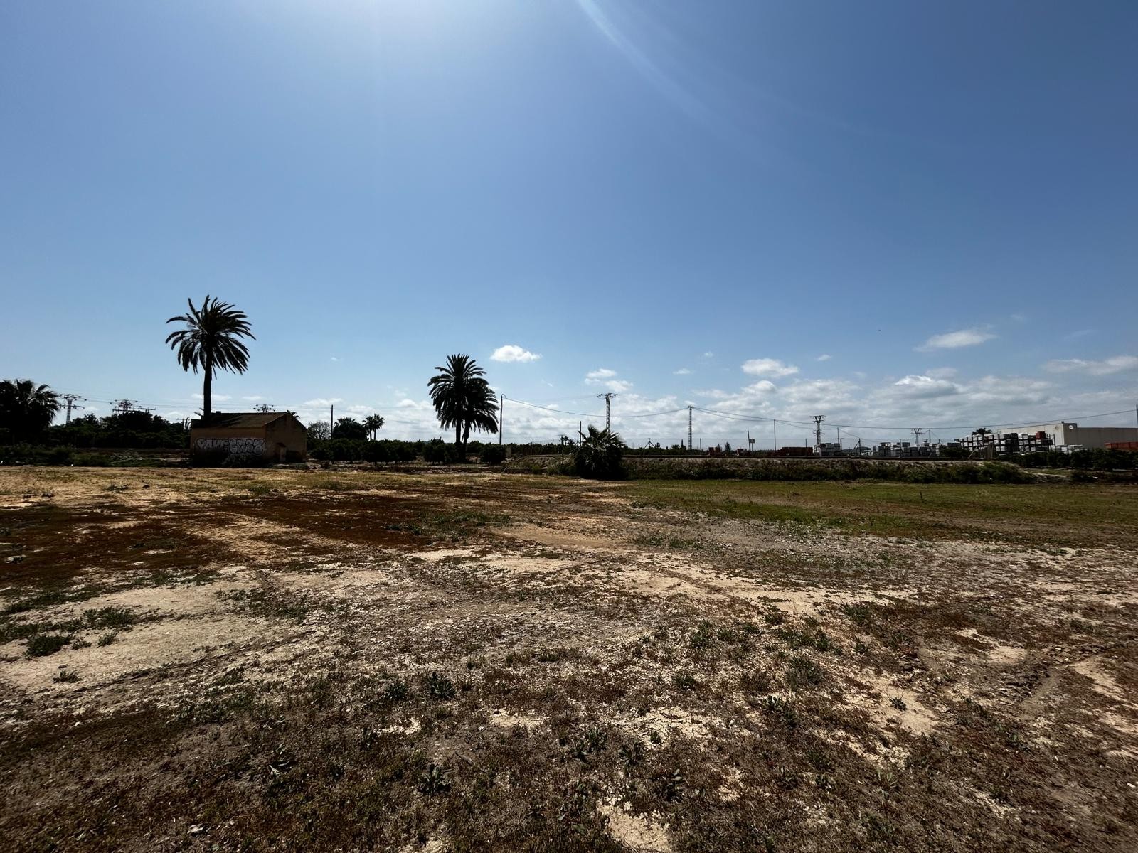 TPS0067: Plot Land for sale in San Miguel de Salinas