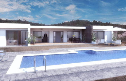 New Build - Detached Villa - Pinoso - Camino Del Prado