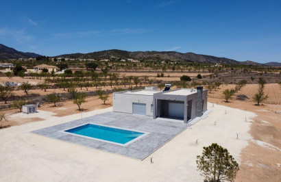 Obra nueva - Villa independiente - Pinoso - Camino Del Prado