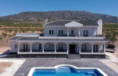 New Build - Detached Villa - Pinoso - Camino Del Prado