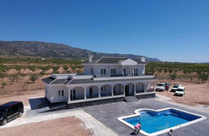 New Build - Detached Villa - Pinoso - Camino Del Prado