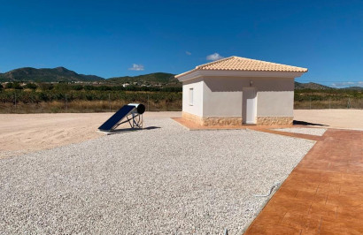 New Build - Detached Villa - Pinoso - Camino Del Prado