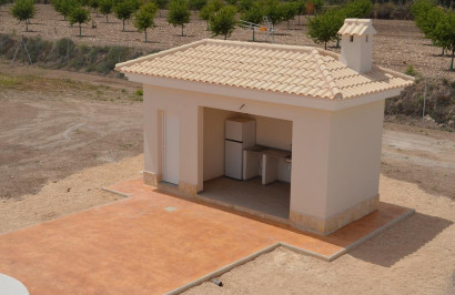 New Build - Detached Villa - Pinoso - Camino Del Prado