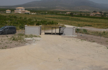 Obra nueva - Villa independiente - Pinoso - Camino Del Prado