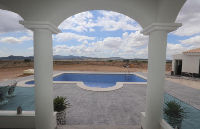 New Build - Detached Villa - Pinoso - Camino Del Prado