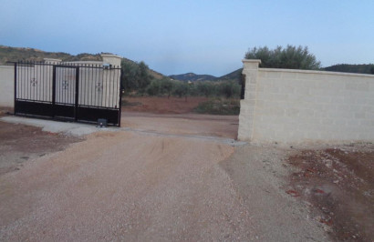 Obra nueva - Villa independiente - Pinoso - Camino Del Prado