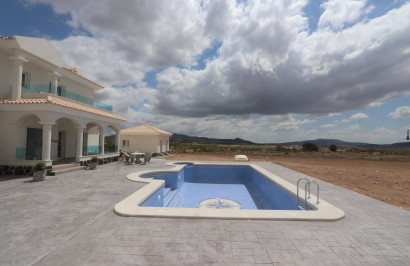 New Build - Detached Villa - Pinoso - Camino Del Prado