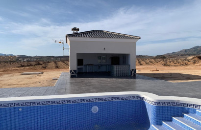 New Build - Detached Villa - Pinoso - Camino Del Prado