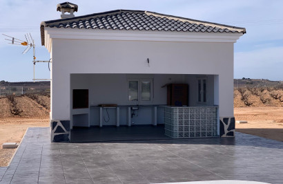 New Build - Detached Villa - Pinoso - Camino Del Prado