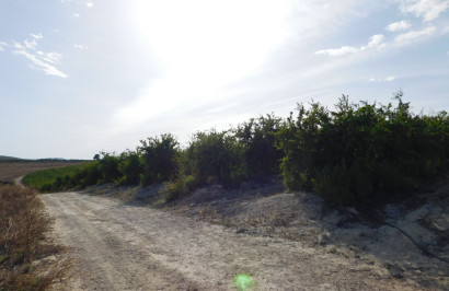 Herverkoop - Perceel / Grond - Torremendo