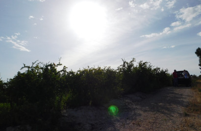 Herverkoop - Perceel / Grond - Torremendo