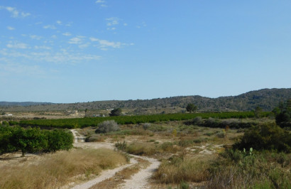 Herverkoop - Perceel / Grond - Torremendo