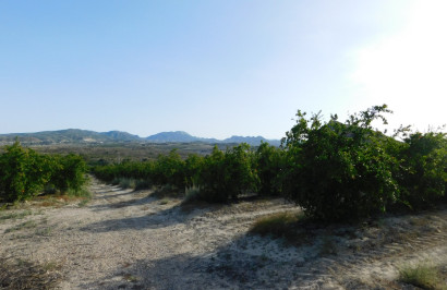 Herverkoop - Perceel / Grond - Torremendo