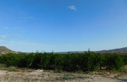 Herverkoop - Perceel / Grond - Torremendo
