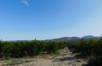 Herverkoop - Perceel / Grond - Torremendo