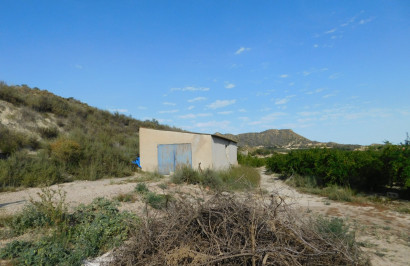 Herverkoop - Perceel / Grond - Torremendo