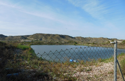 Reventa - Parcela / Terreno - Torremendo