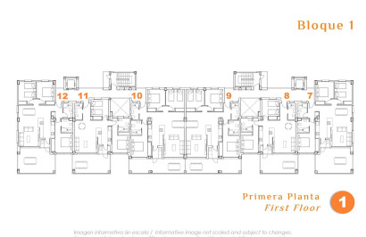 New Build - Apartment / Flat - San Miguel de Salinas - Pueblo
