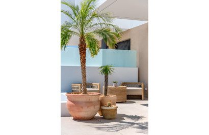 New Build - Detached Villa - Dolores - Sector 3