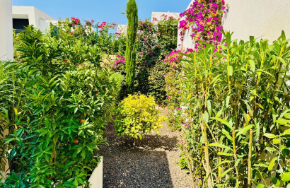 Resale - Detached Villa - Algorfa - La Finca Golf