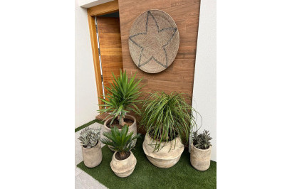 Revente - Villa Individuelle - Daya Vieja