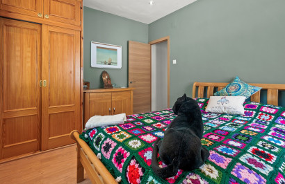 Resale - Finca / Country Property - Torremendo