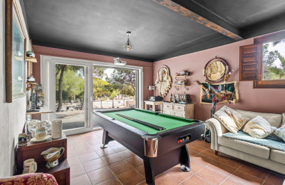 Resale - Finca / Country Property - Torremendo