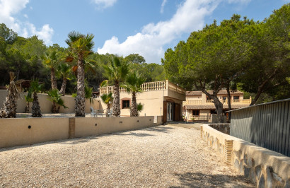 Resale - Finca / Country Property - Torremendo